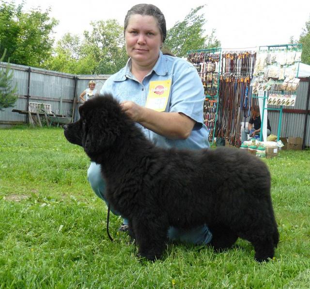 Фотография № 44070