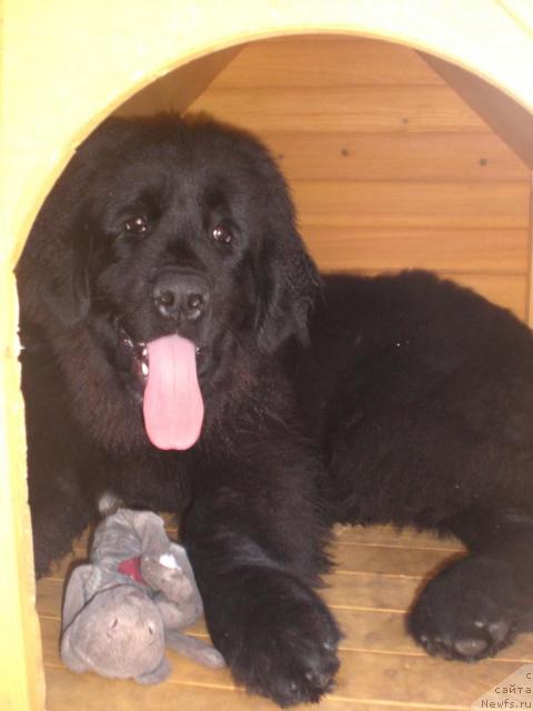 Фото: Irina Vershinina (Ирина Вершинина)