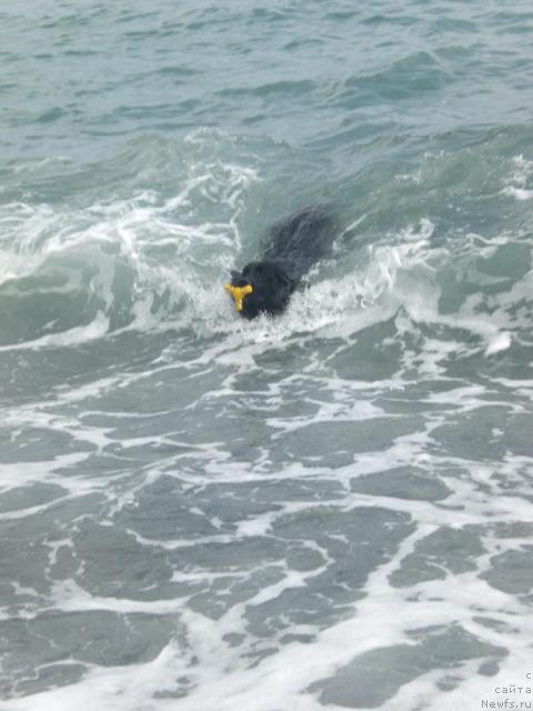 Фото: Ботсман