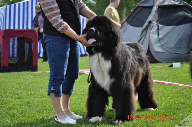 Фотография № 44086