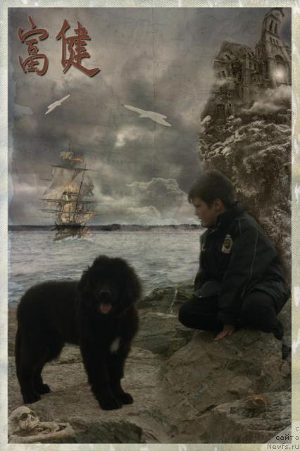 Фотография № 44088