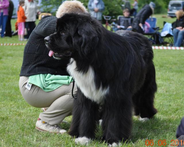 Фотография № 44091