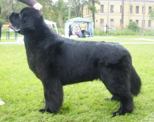 Фотография № 44112