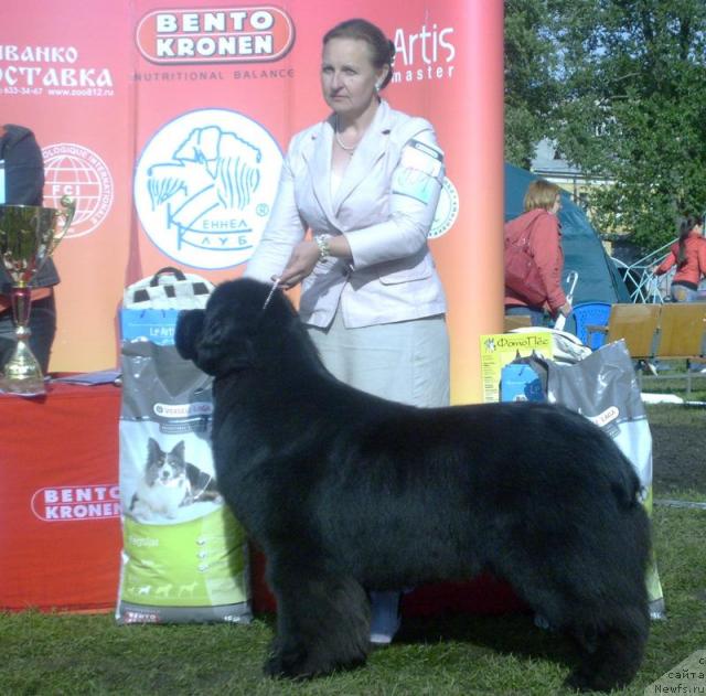 Фотография № 44115