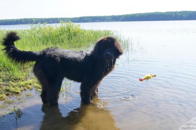 Фотография № 44126