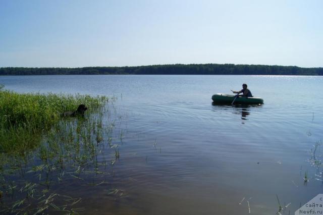 Фото: Сент Джонс Ульрика