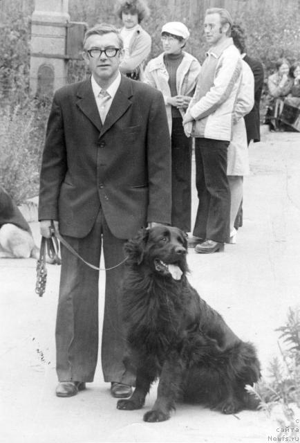 Фото: ньюфаундленд Gabi Morfi (Габи Морфи)