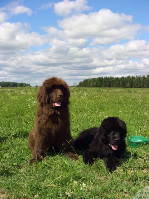 Фотография № 44195