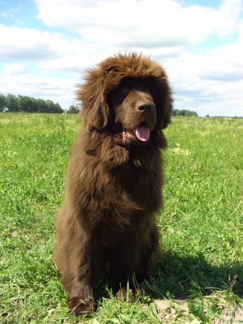 Фотография № 44196