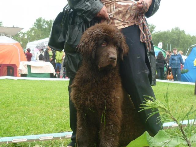 Фотография № 44217