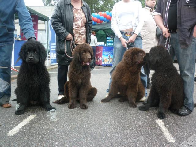 Фотография № 44220