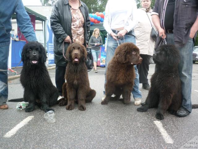 Фотография № 44223