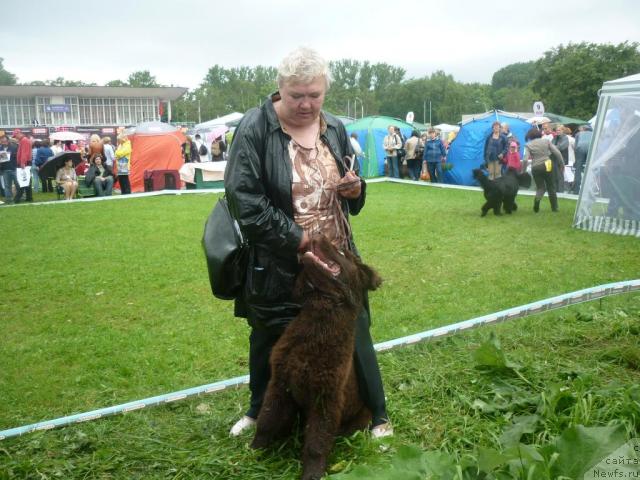 Фотография № 44224