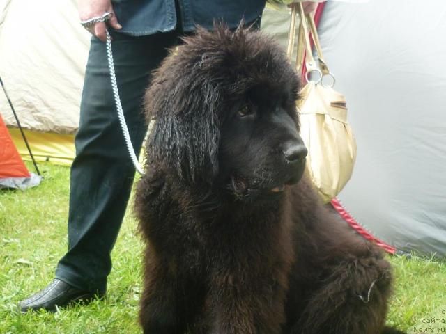 Фотография № 44227