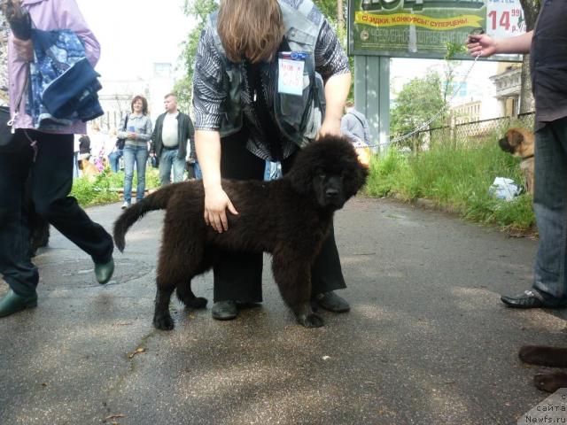 Фотография № 44228