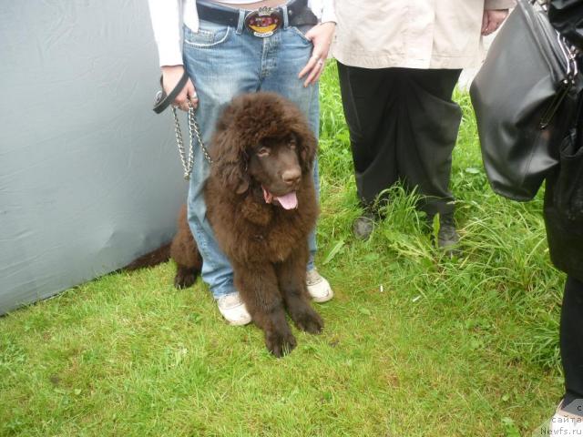 Фотография № 44229