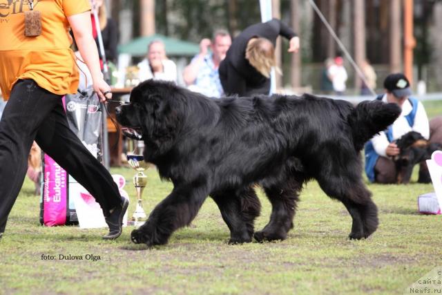 Фотография № 44244