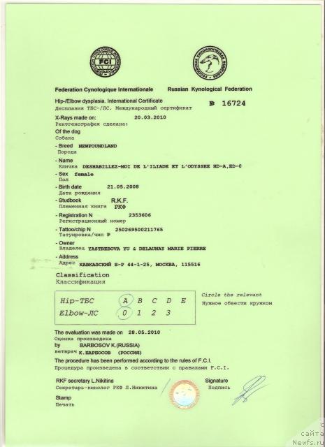 Фотография № 44284