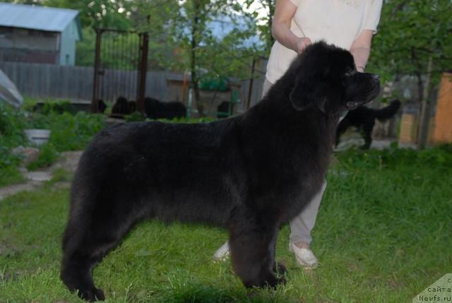 Фотография № 44288