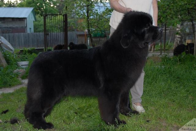 Фотография № 44289