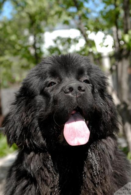 Фотография № 44290