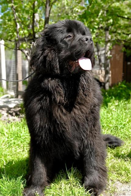 Фотография № 44292