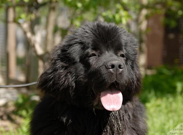 Фотография № 44294