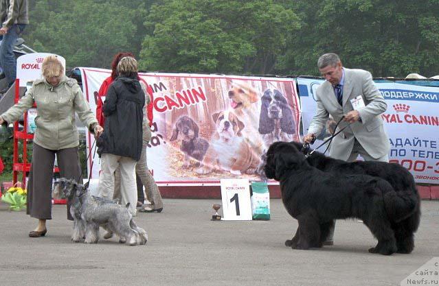 Фотография № 44297