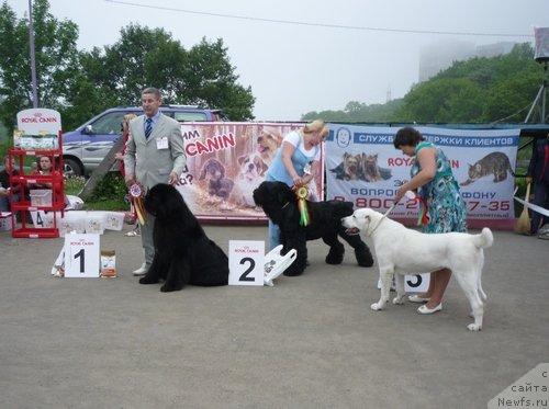 Фотография № 44298