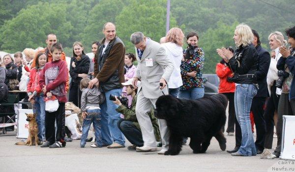 Фотография № 44299