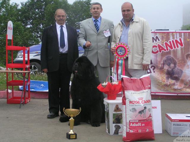 Фотография № 44301