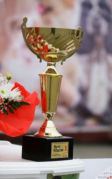 Фотография № 44302