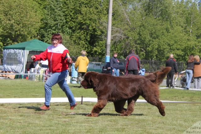 Фотография № 44318