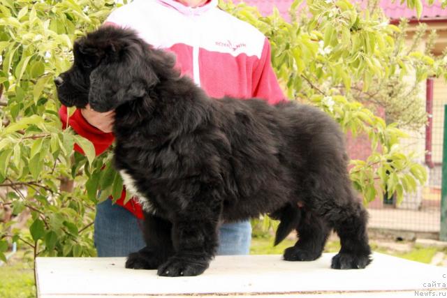 Фото: Акватория Келвин Максим.