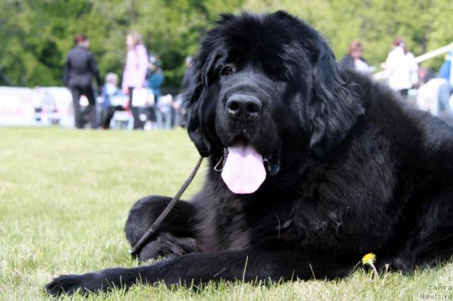 Фотография № 44330