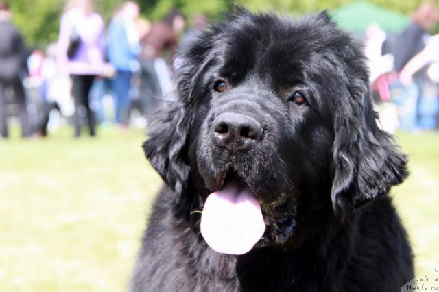 Фотография № 44331