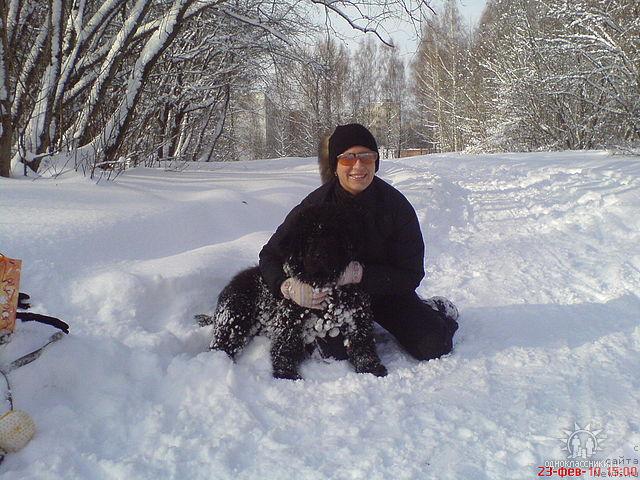 Фото: ньюфаундленд Sud'byi Podarok (Судьбы Подарок)