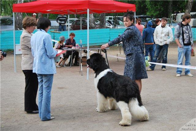 Фотография № 44405