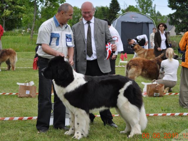 Фотография № 44428