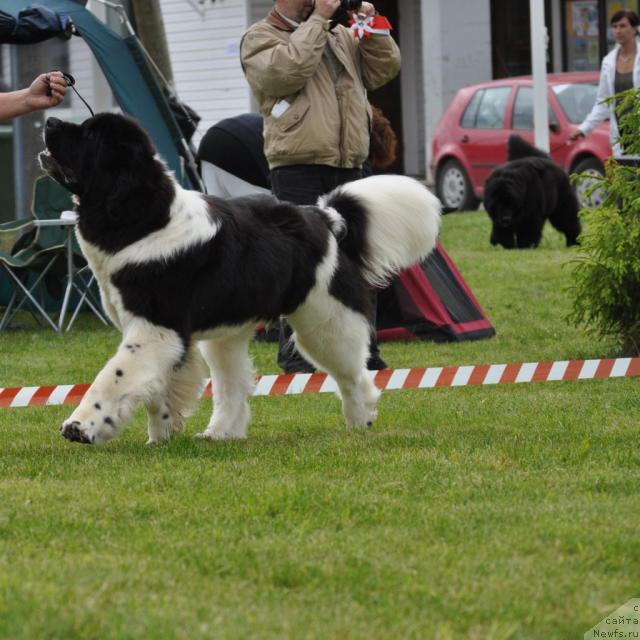 Фотография № 44429