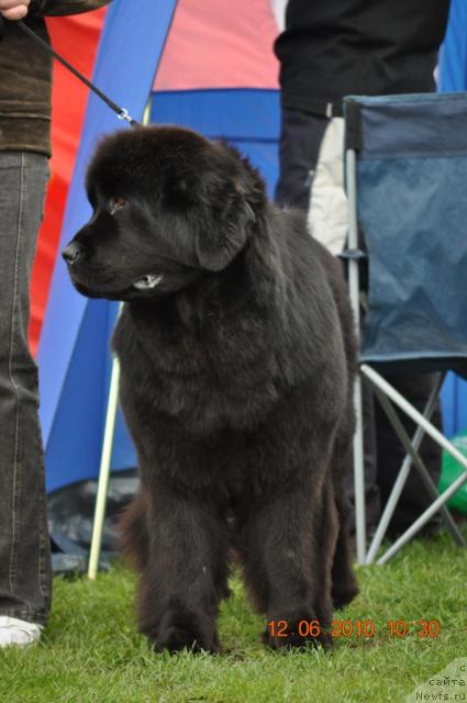 Фотография № 44434