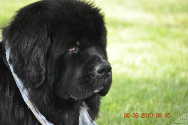 Фотография № 44450