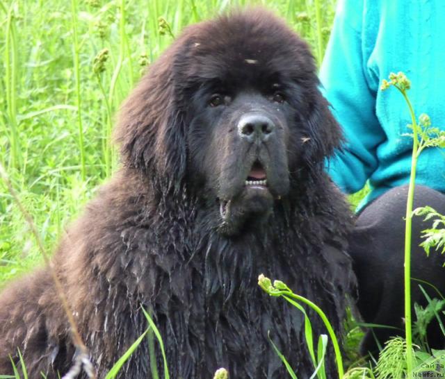 Фотография № 44460