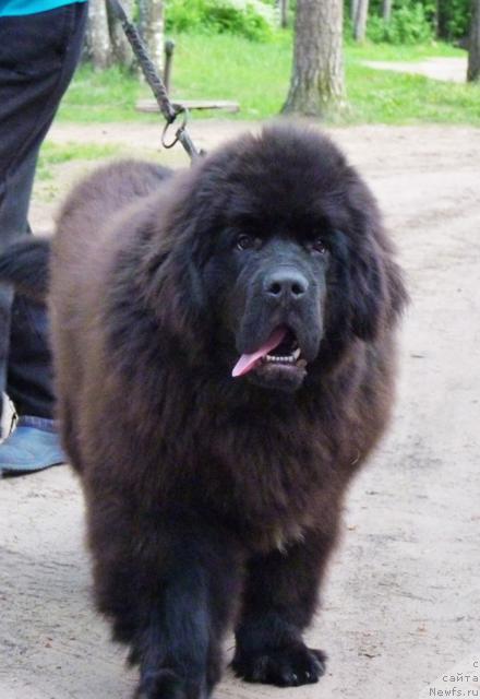 Фотография № 44462