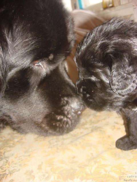 Фотография № 4448