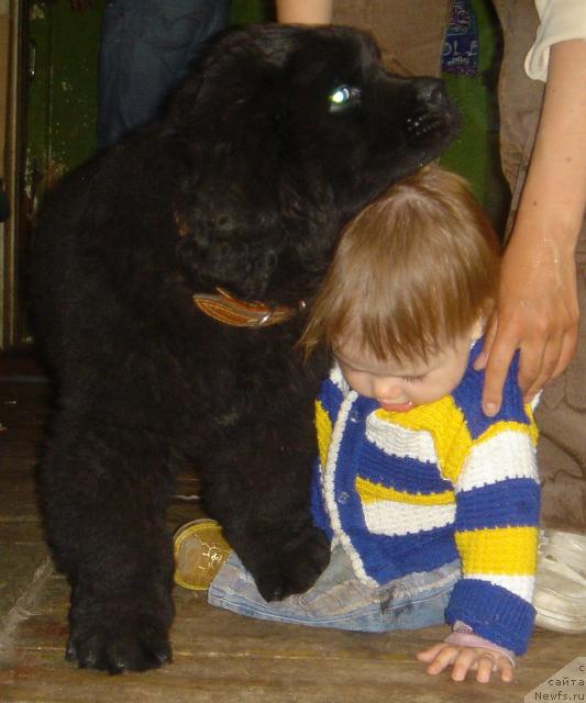 Фото: Дар Свезы Онафеелинг и Маша 1г.