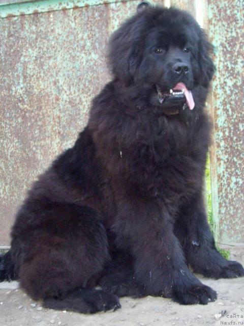 Фотография № 44507