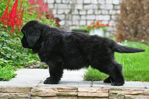 Фотография № 44521