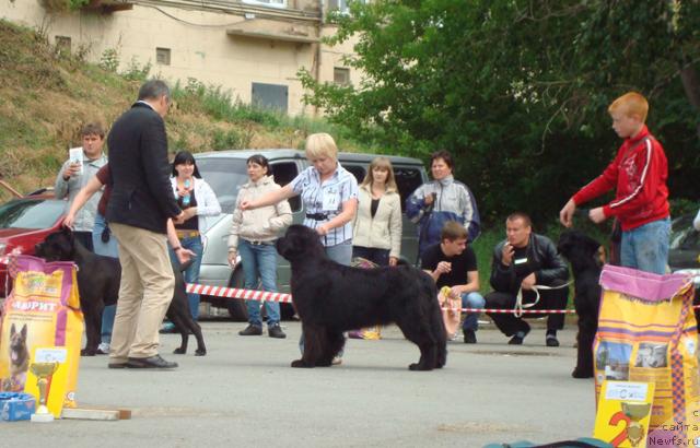 Фотография № 44524