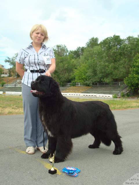 Фотография № 44526